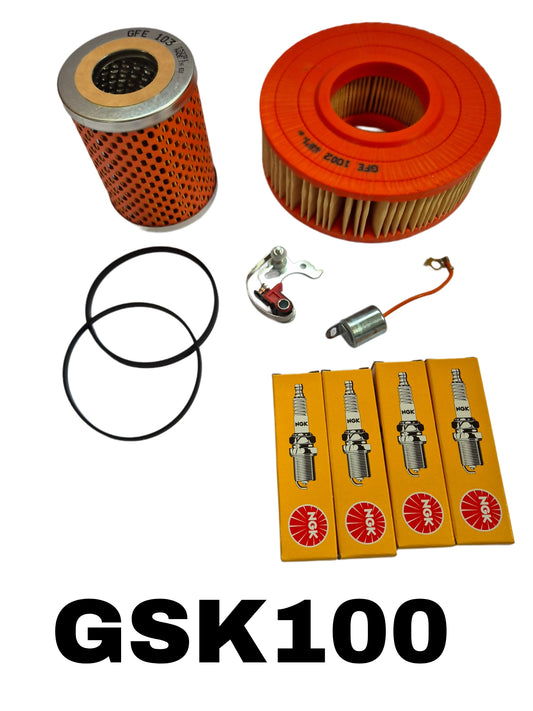 Classic Mini Service Kit 850/1000 HS2 1.25" carb manual